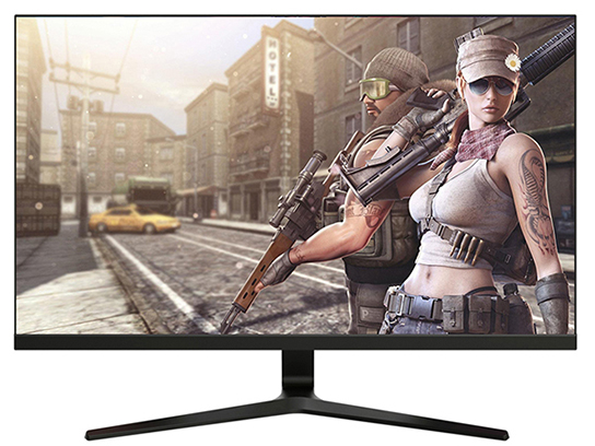 monitor e-view